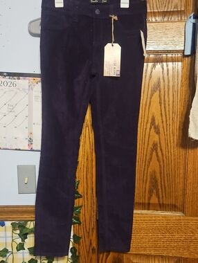 NWT Vanilla Star Skinny Jeans in Deep Purple Velvet